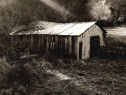 Roberto Alamino - Barn