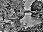 Roberto Alamino - Bridge over River