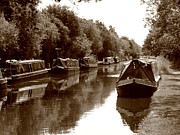 Roberto Alamino - Canal