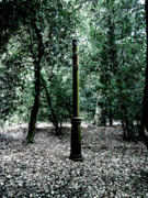 Roberto Alamino - Enigma